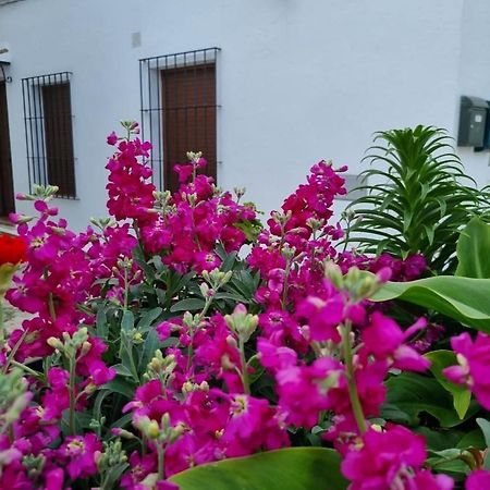 Casa Francisca En El Casco Antiguo Villa Vejer de la Frontera Exteriör bild